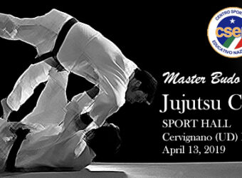 masterbudojujutsucupbanner