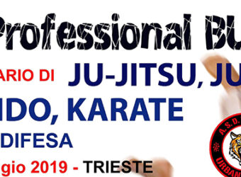 professionalbudoseminar2019